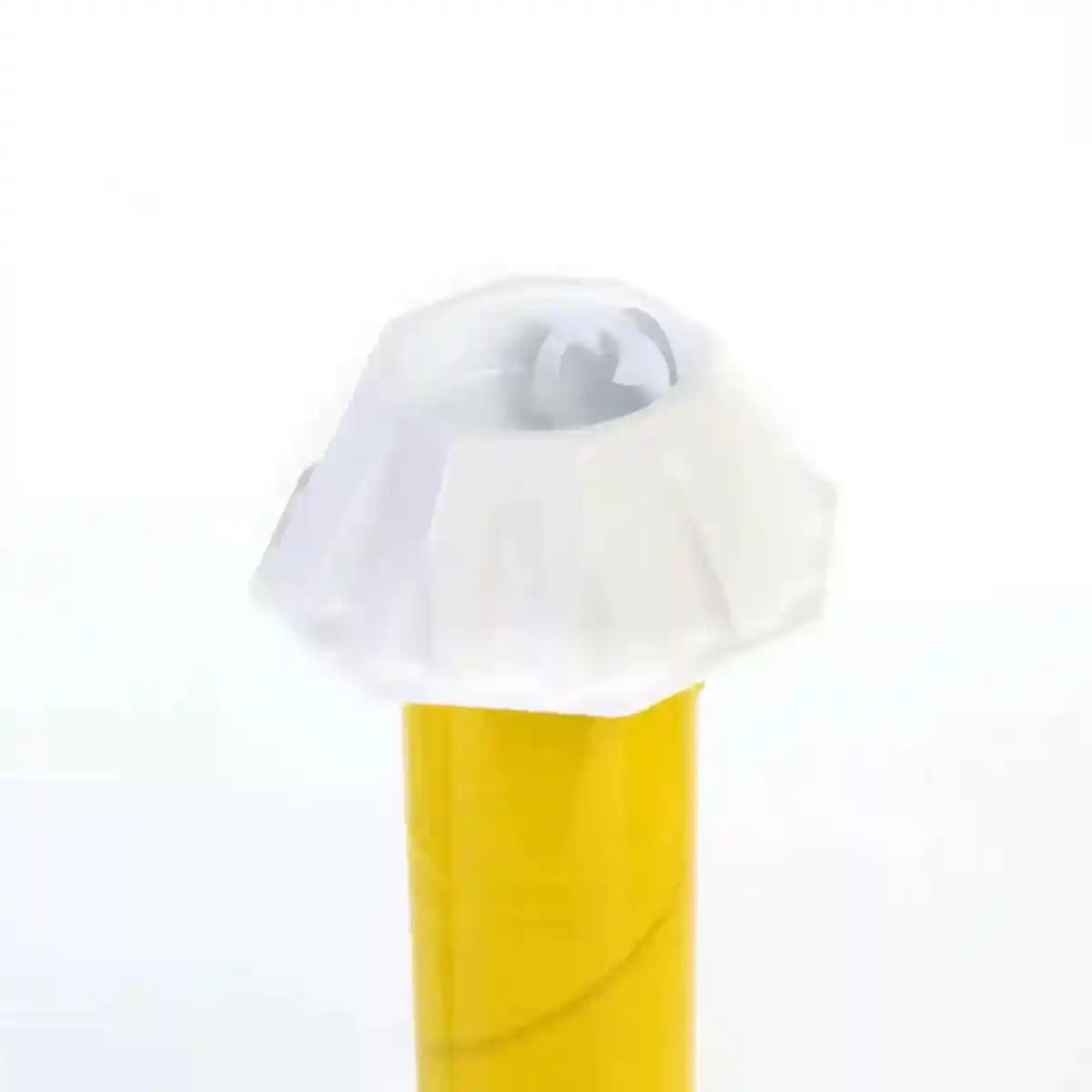 Sticky Fly Stick Trap for Insects â Odour-Free Non-Toxic Pest Catcher