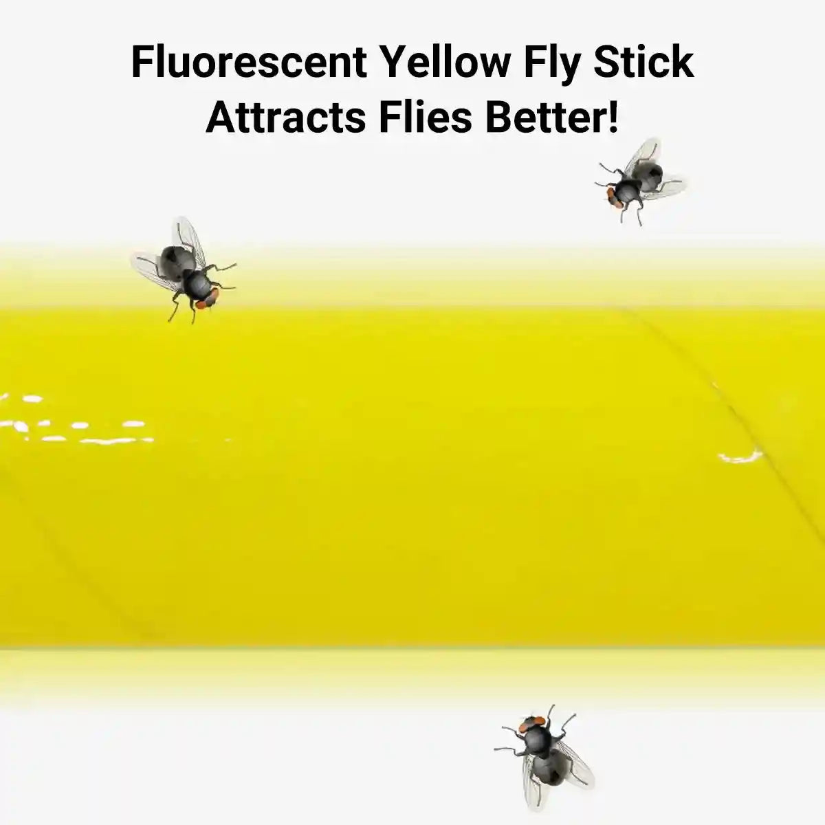 Sticky Fly Stick Trap for Insects â Odour-Free Non-Toxic Pest Catcher