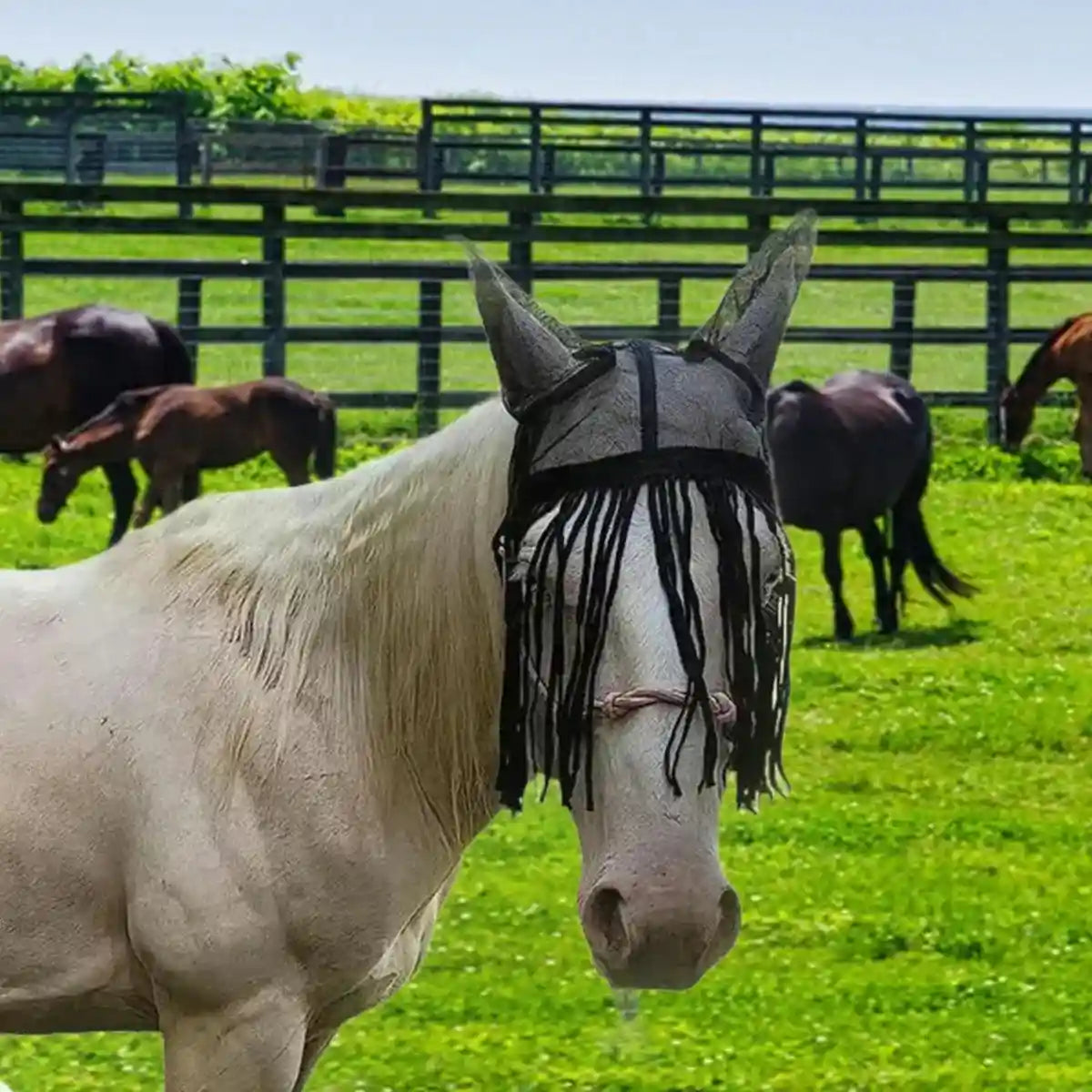 Fly-Proof Horse Ear Mask Tassel Design Face Cover for Insect Protection