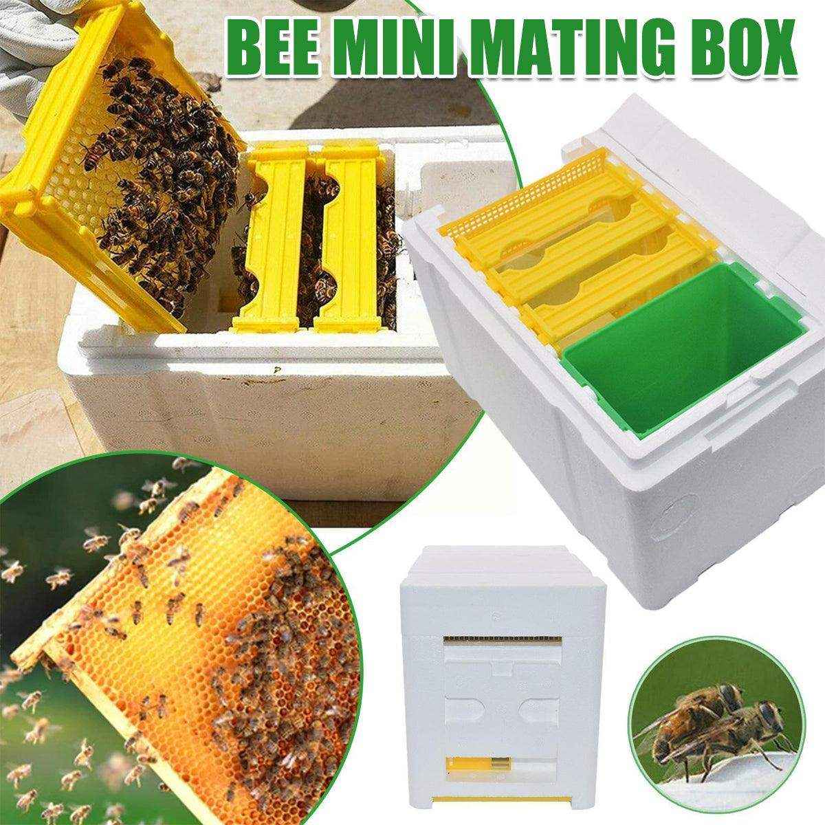 Insulated foam bee box for queen rearing and hive expansion, ideal for seasonal beekeeping.