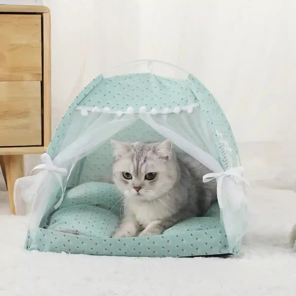 Whimsical Indoor Hideaway Cat Tent with Cushion for Small Pets