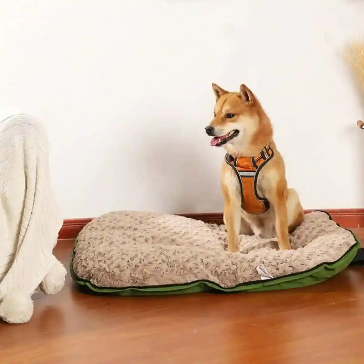 Travel-Friendly Pet Bed – Foldable and Durable Waterproof Dog Mat