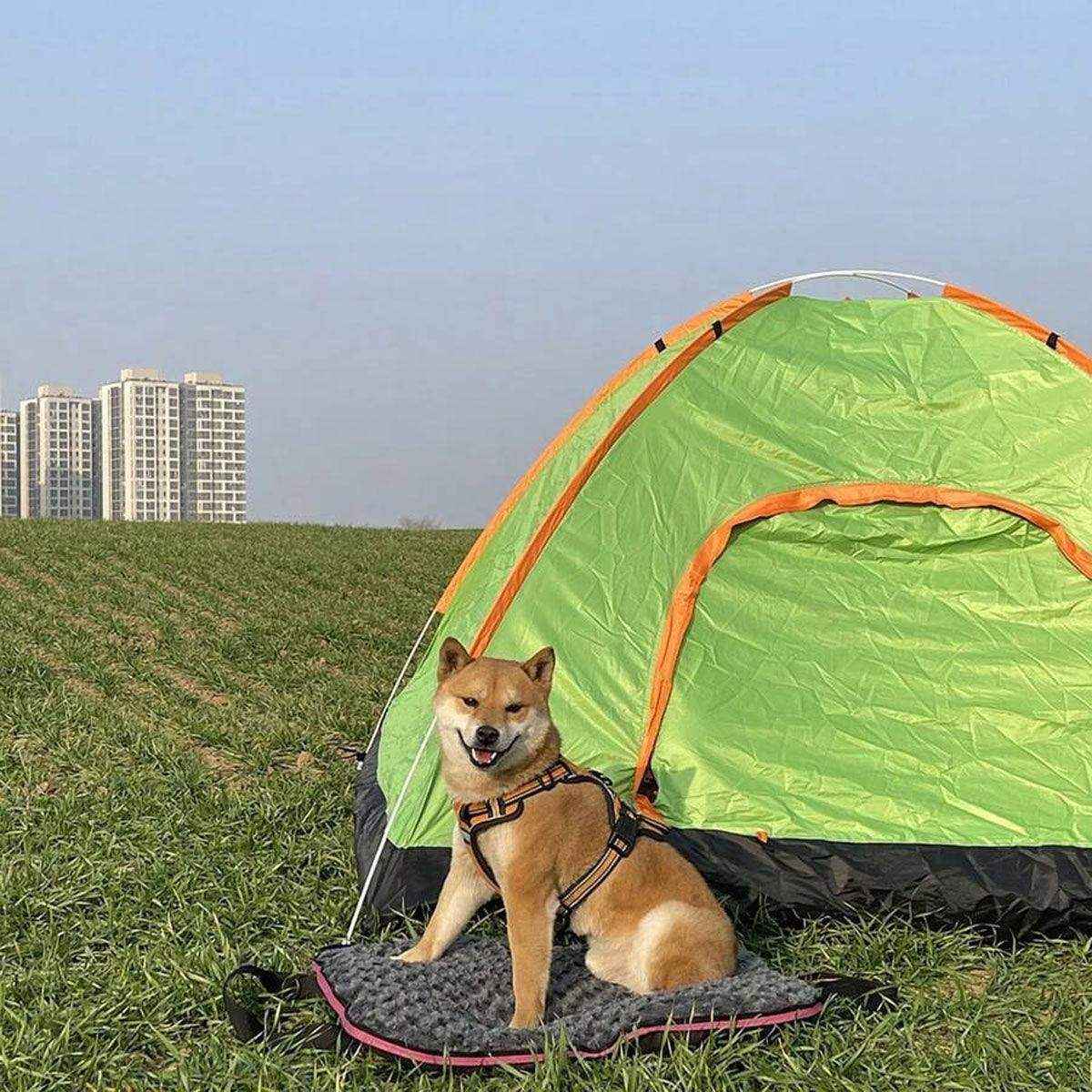 Travel-Friendly Pet Bed – Foldable and Durable Waterproof Dog Mat