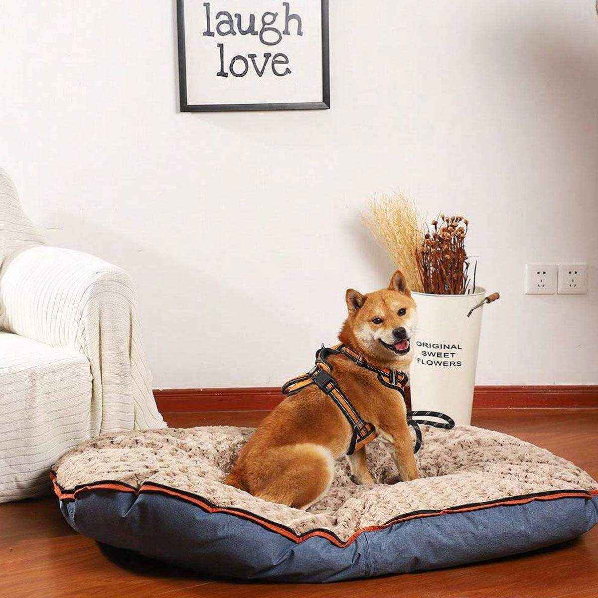 Travel-Friendly Pet Bed – Foldable and Durable Waterproof Dog Mat