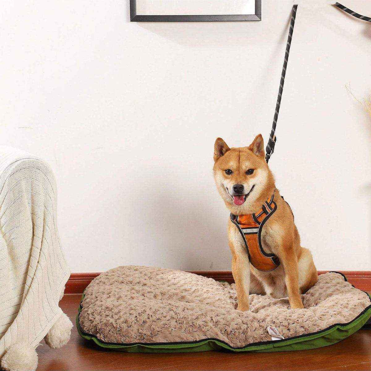 Travel-Friendly Pet Bed – Foldable and Durable Waterproof Dog Mat