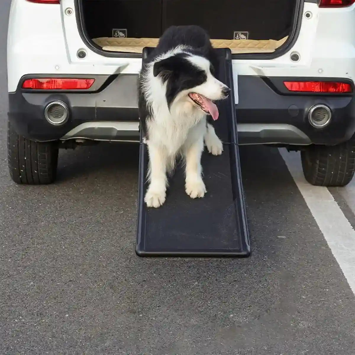 Foldable Dog Car Ramp with Non-Slip Surface for Vehicle Access