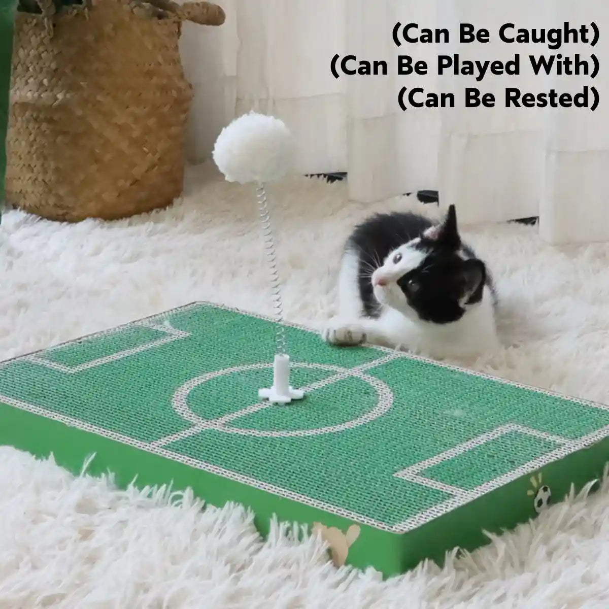 Football Field Cat Scratching Board Interactive Corrugated Scratch Pad with Toy Ball