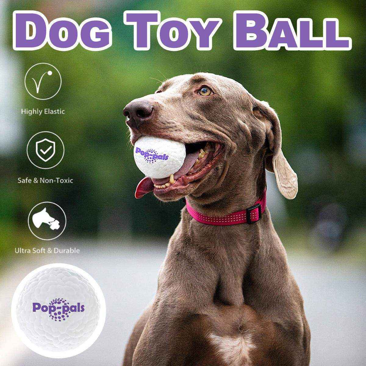Durable and Lightweight Dog Toy Ball for Indoor & Outdoor Play