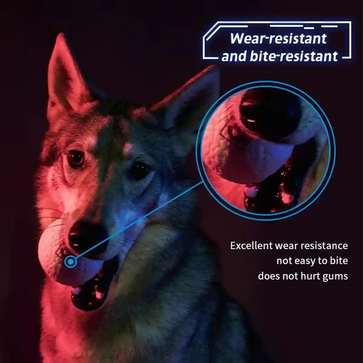 Durable and Lightweight Dog Toy Ball for Indoor & Outdoor Play