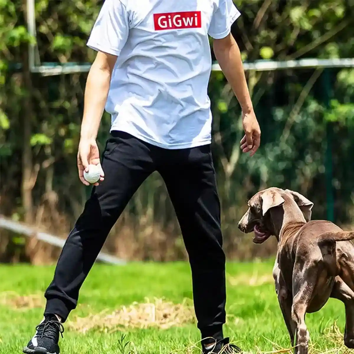 Durable and Lightweight Dog Toy Ball for Indoor & Outdoor Play