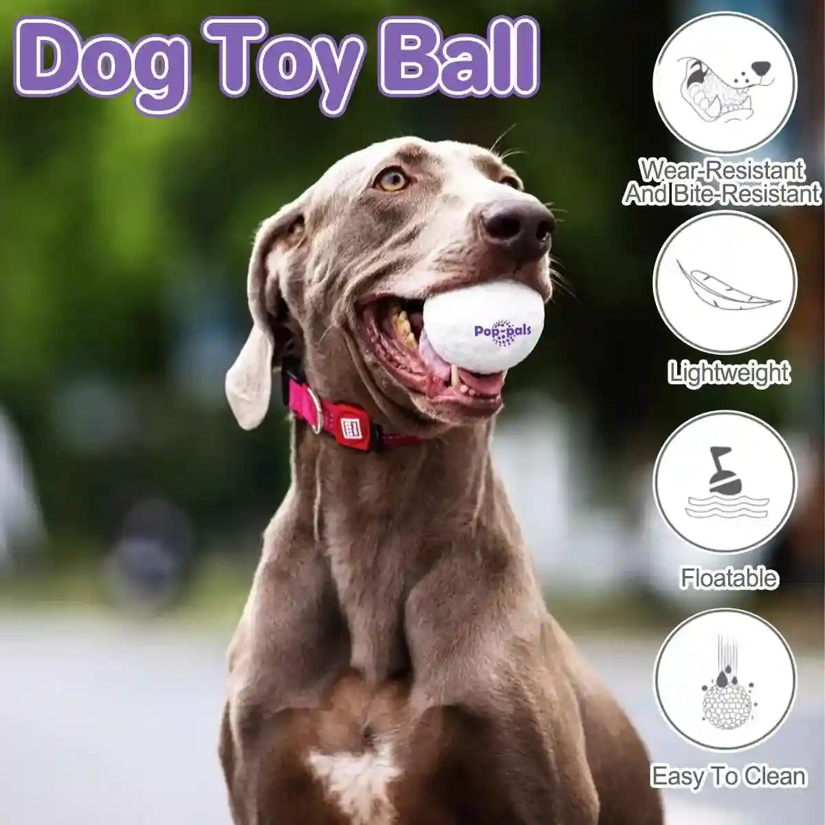 Durable and Lightweight Dog Toy Ball for Indoor & Outdoor Play