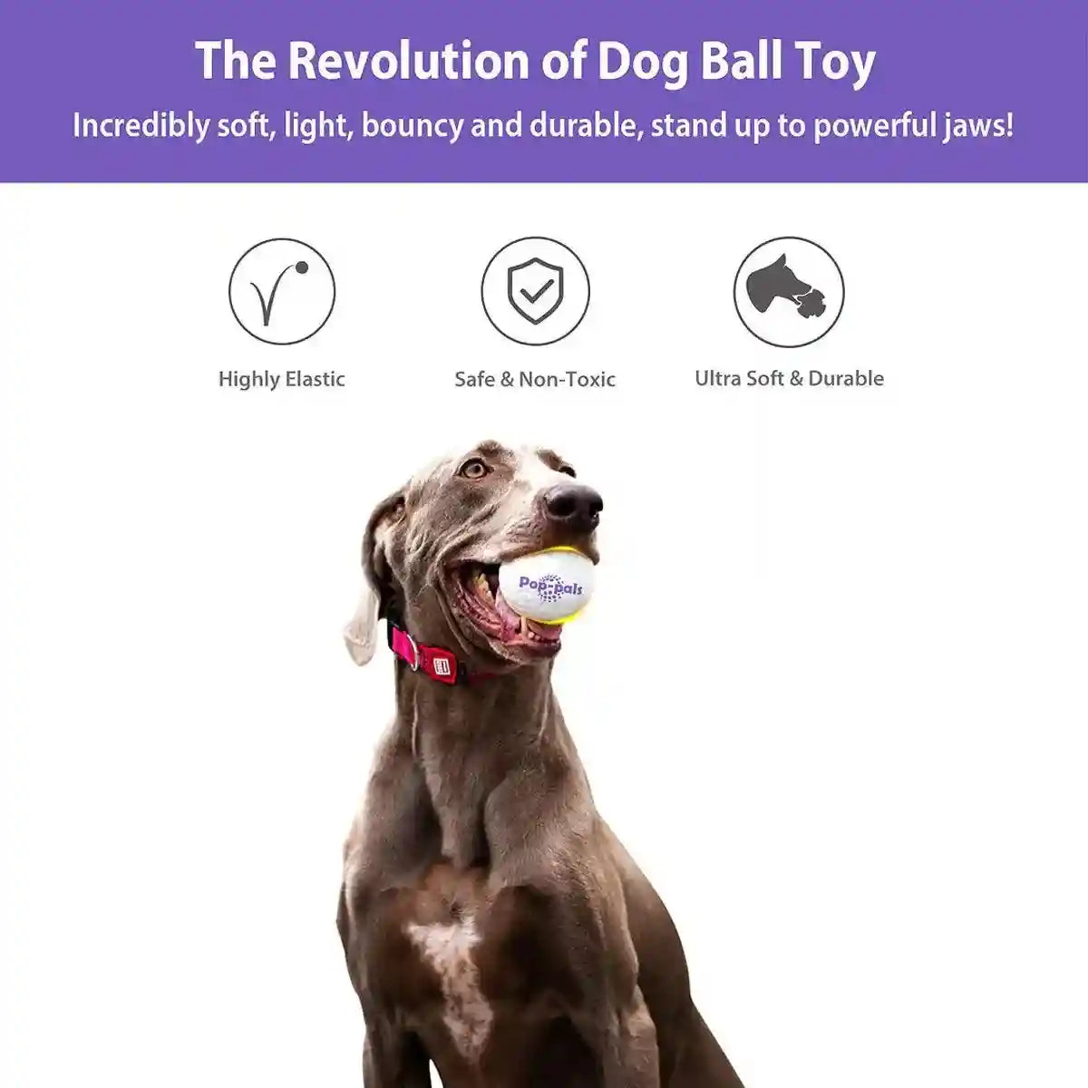 Durable and Lightweight Dog Toy Ball for Indoor & Outdoor Play