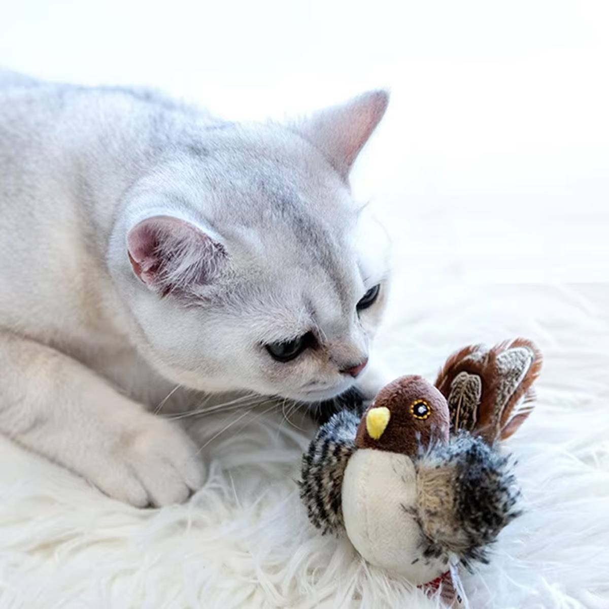 Interactive Cat Toy GiGwi Melody Chaser Robin Bird