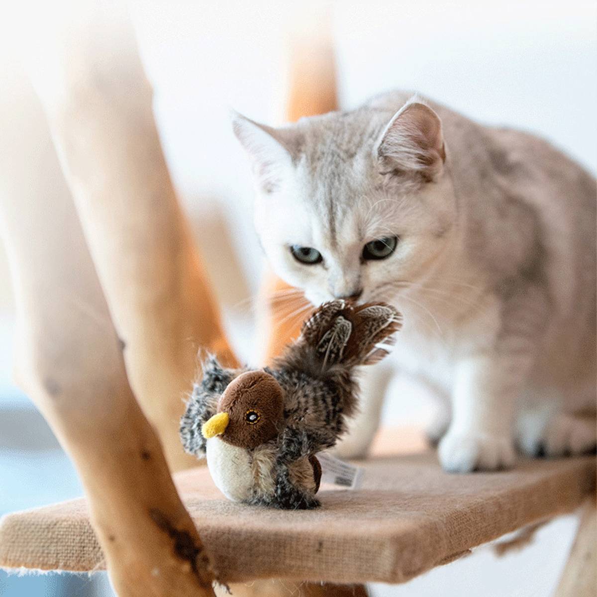 Interactive Cat Toy GiGwi Melody Chaser Robin Bird