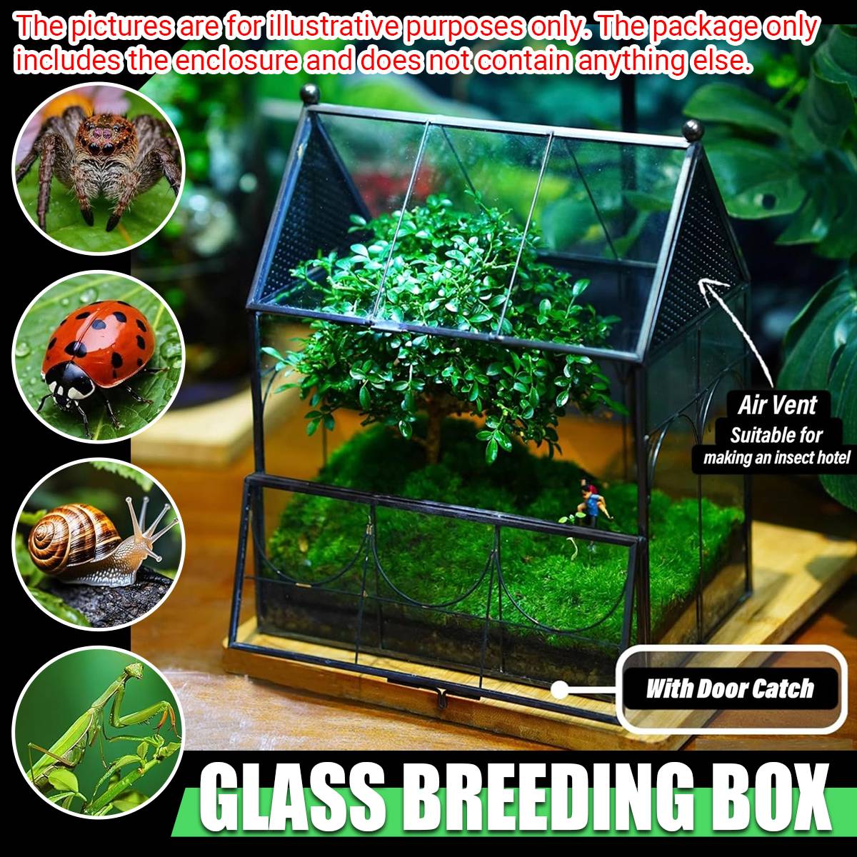 Glass Breeding Box Insect Terrarium With Vent