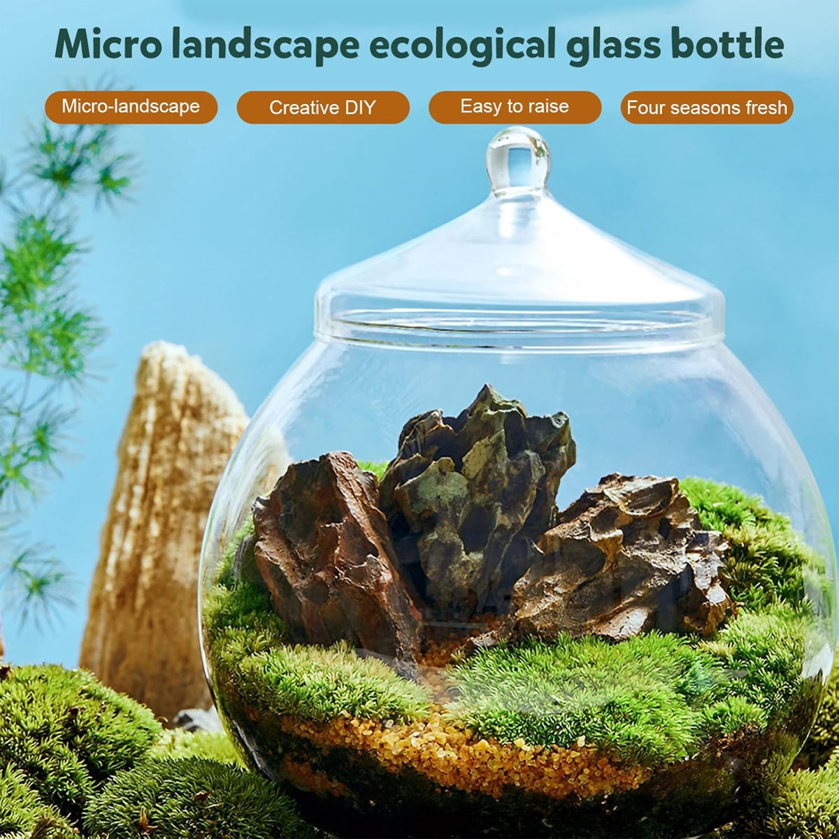 Micro Landscape Glass Bottle With Lid