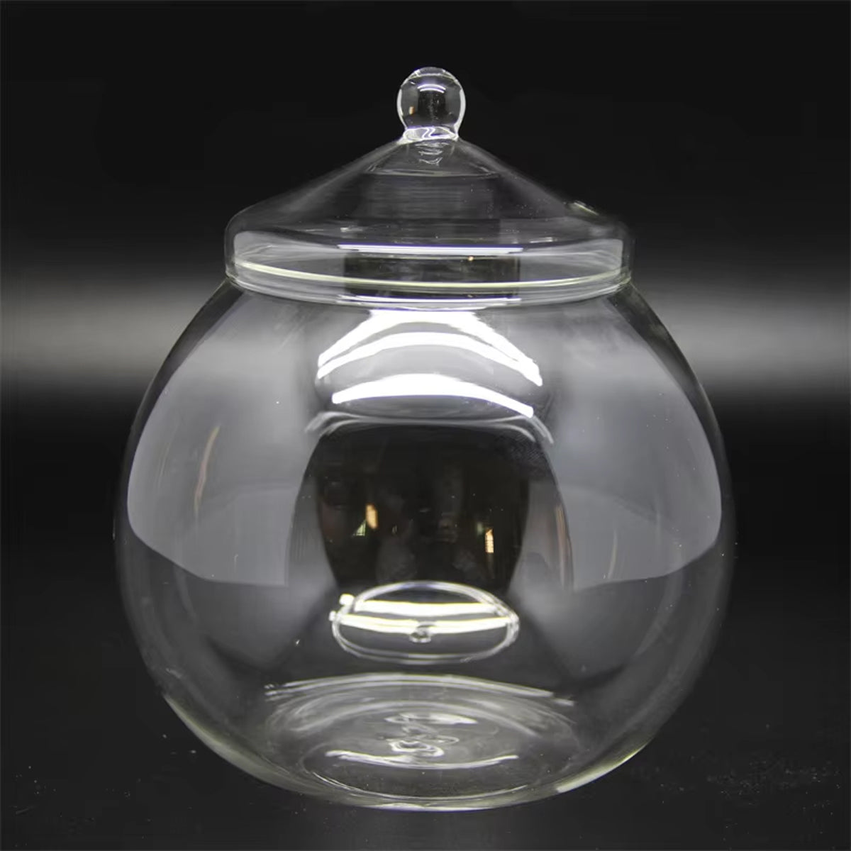 Micro Landscape Glass Bottle With Lid