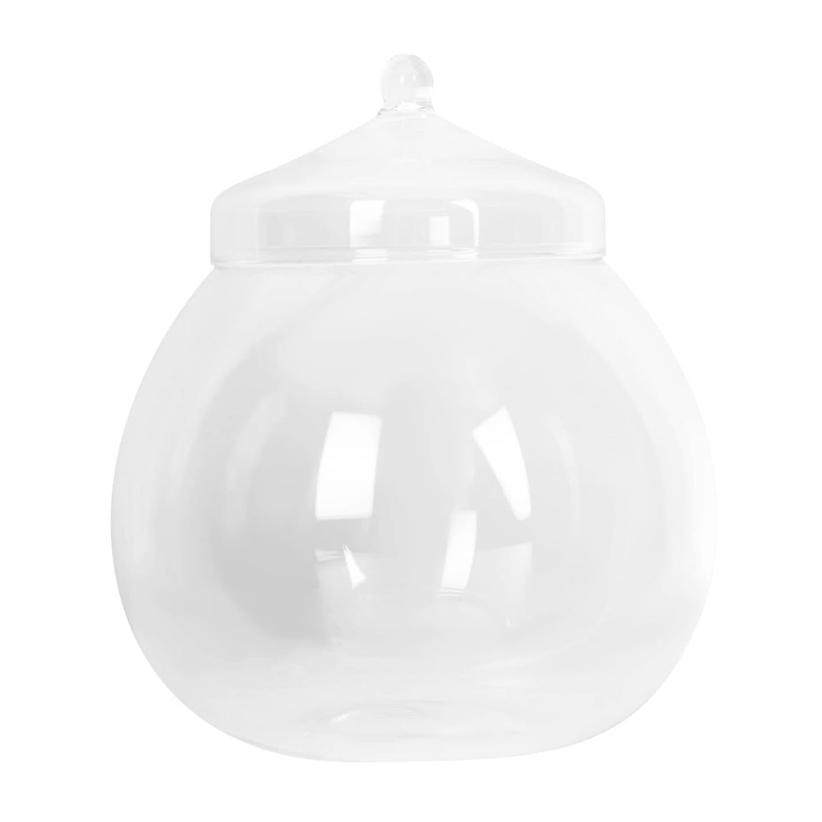 Micro Landscape Glass Bottle With Lid