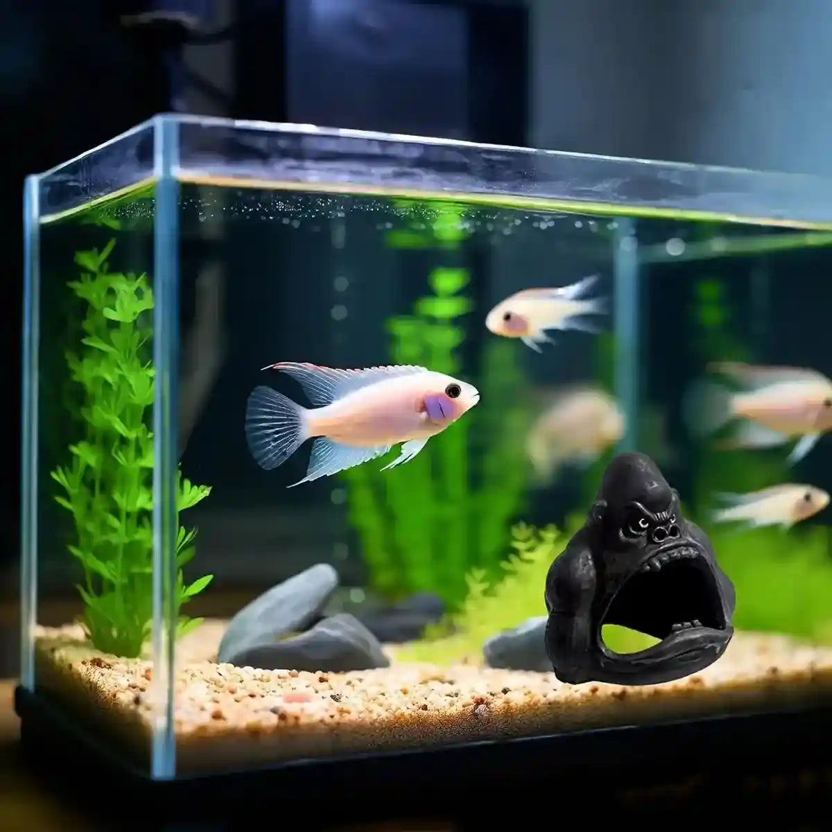 Gorilla Aquarium Decoration Hideout Resin Reptile Fish Tank Cave