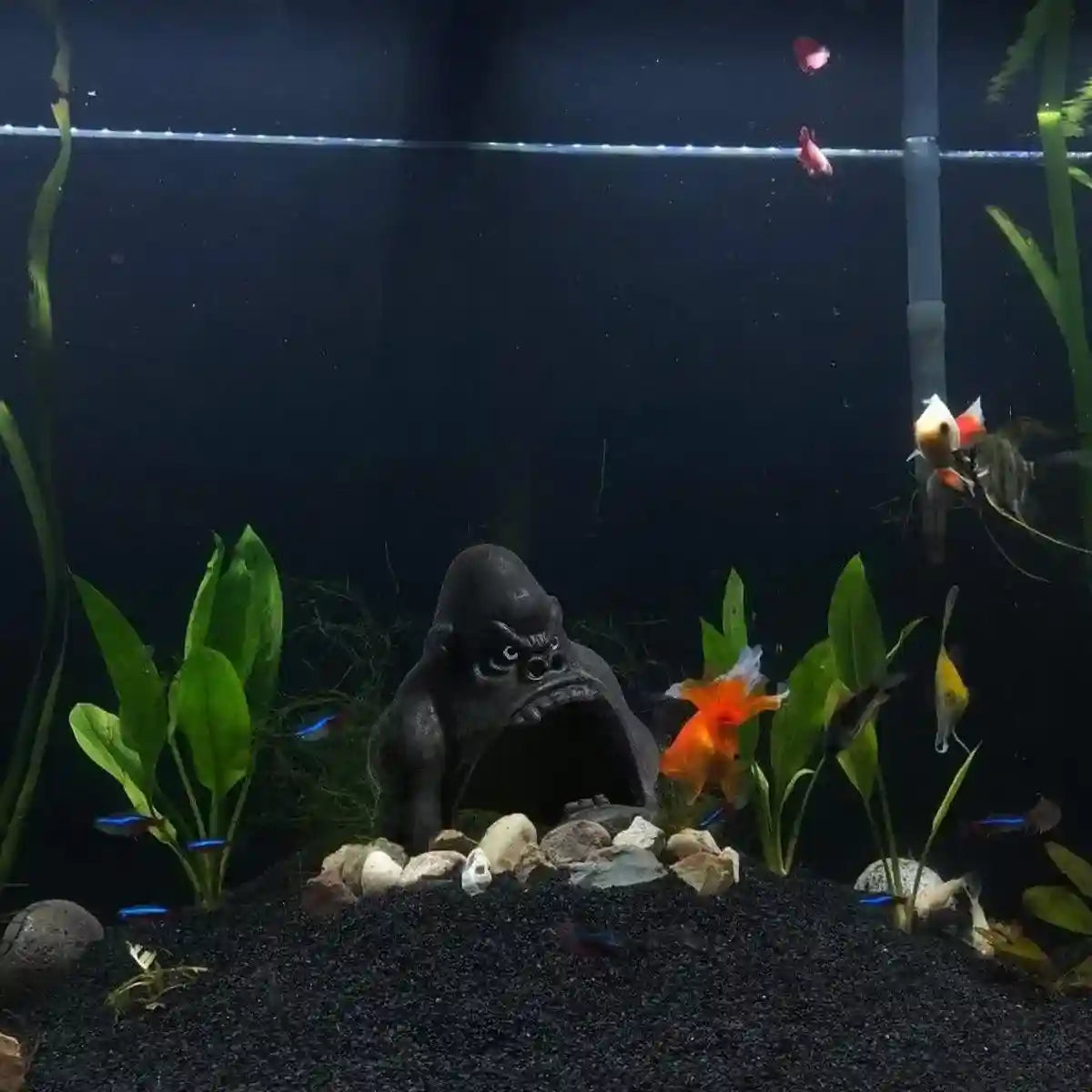 Gorilla Aquarium Decoration Hideout Resin Reptile Fish Tank Cave