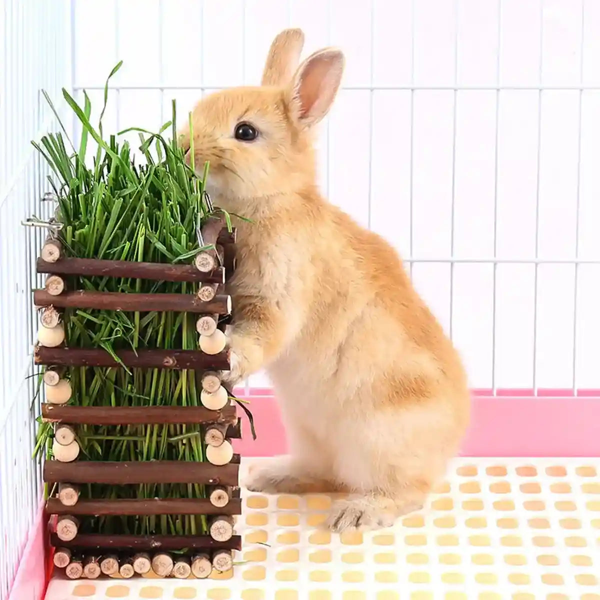 Applewood Hay Rack Feeder for Rabbits & Small Pets