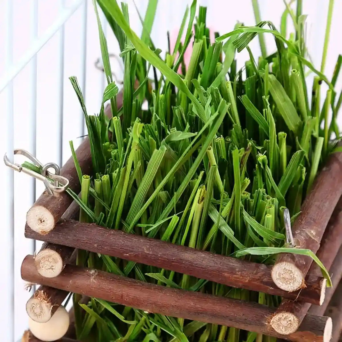 Applewood Hay Rack Feeder for Rabbits & Small Pets