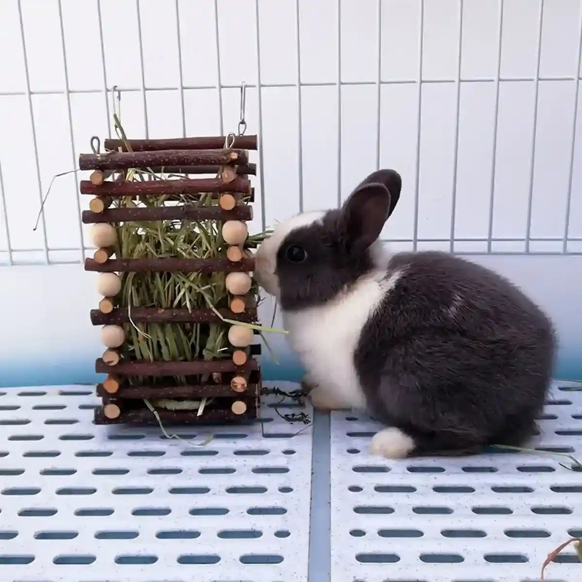 Applewood Hay Rack Feeder for Rabbits & Small Pets