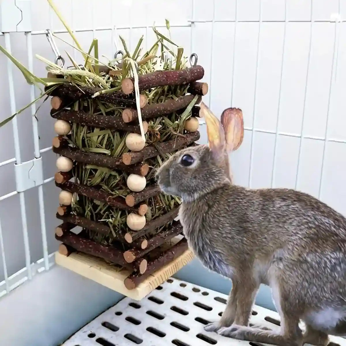 Applewood Hay Rack Feeder for Rabbits & Small Pets