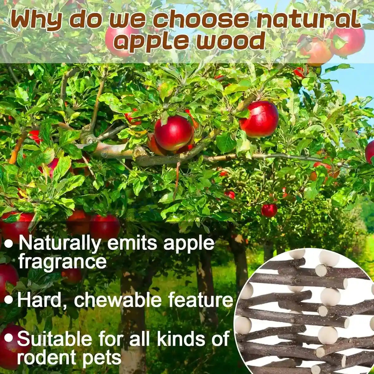 Applewood Hay Rack Feeder for Rabbits & Small Pets