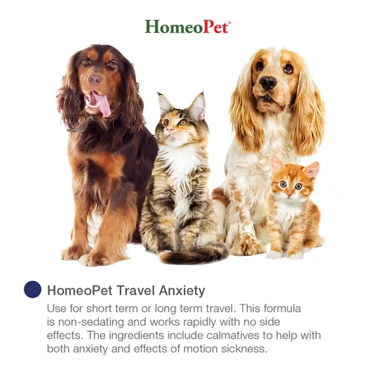 HomeoPet Travel Anxiety Relief Drops for Pets 15mL