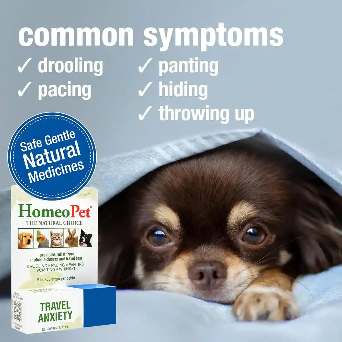 HomeoPet Travel Anxiety Relief Drops for Pets 15mL
