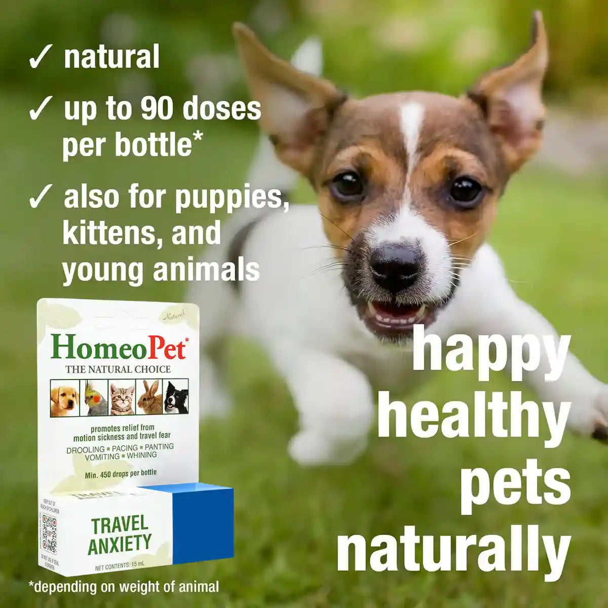 HomeoPet Travel Anxiety Relief Drops for Pets 15mL