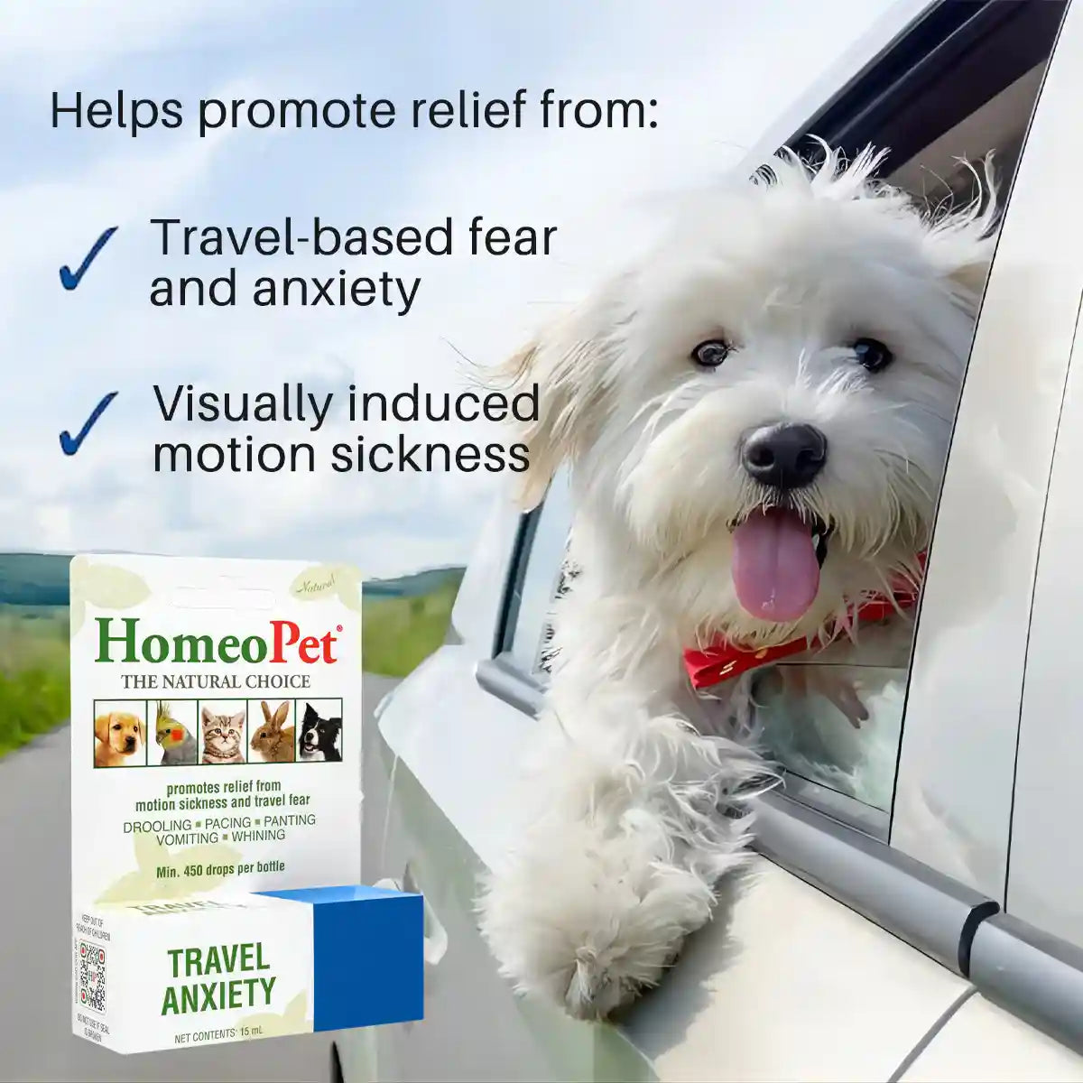 HomeoPet Travel Anxiety Relief Drops for Pets 15mL