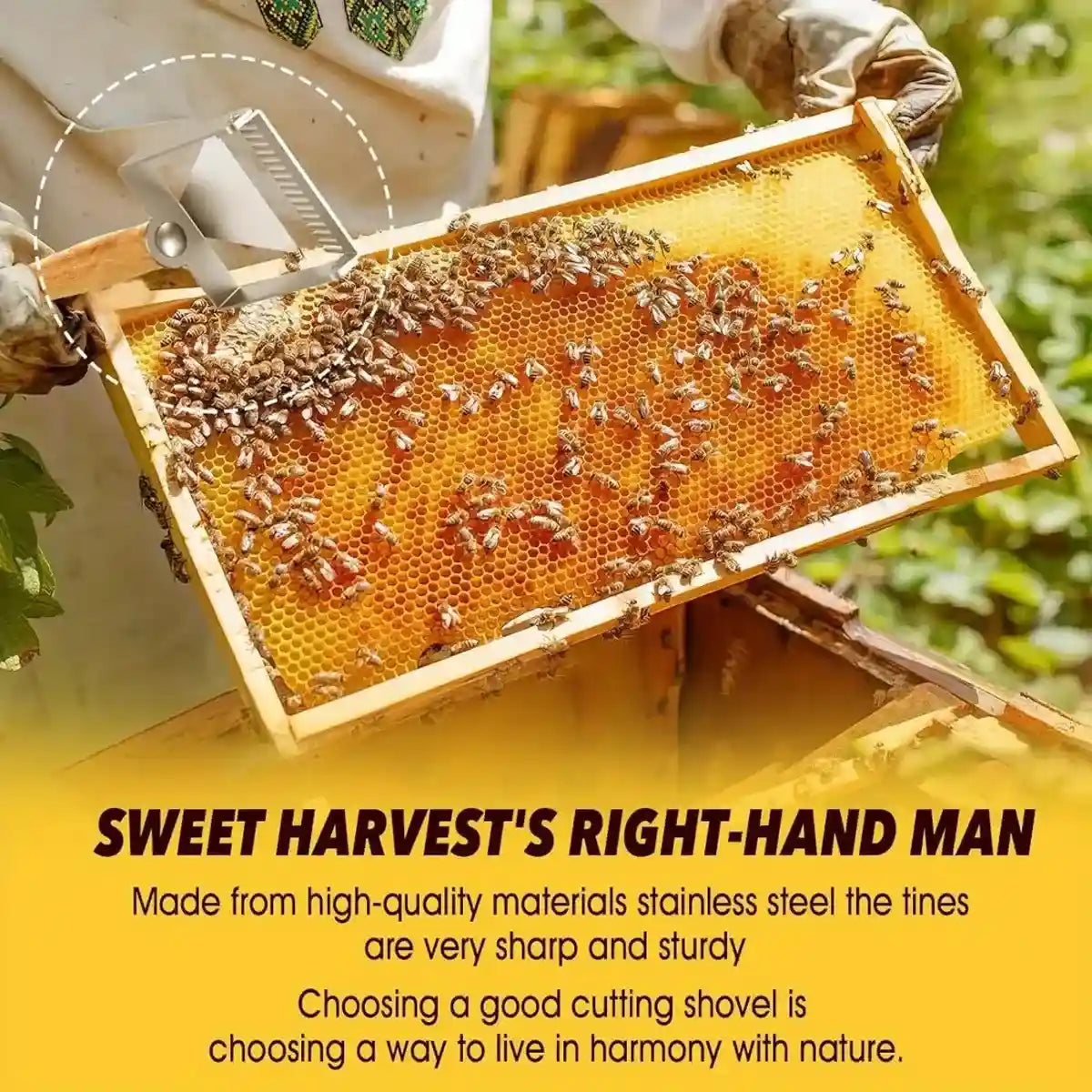 Stainless Steel Honey Scraper with 17 Tines and Wooden Handle