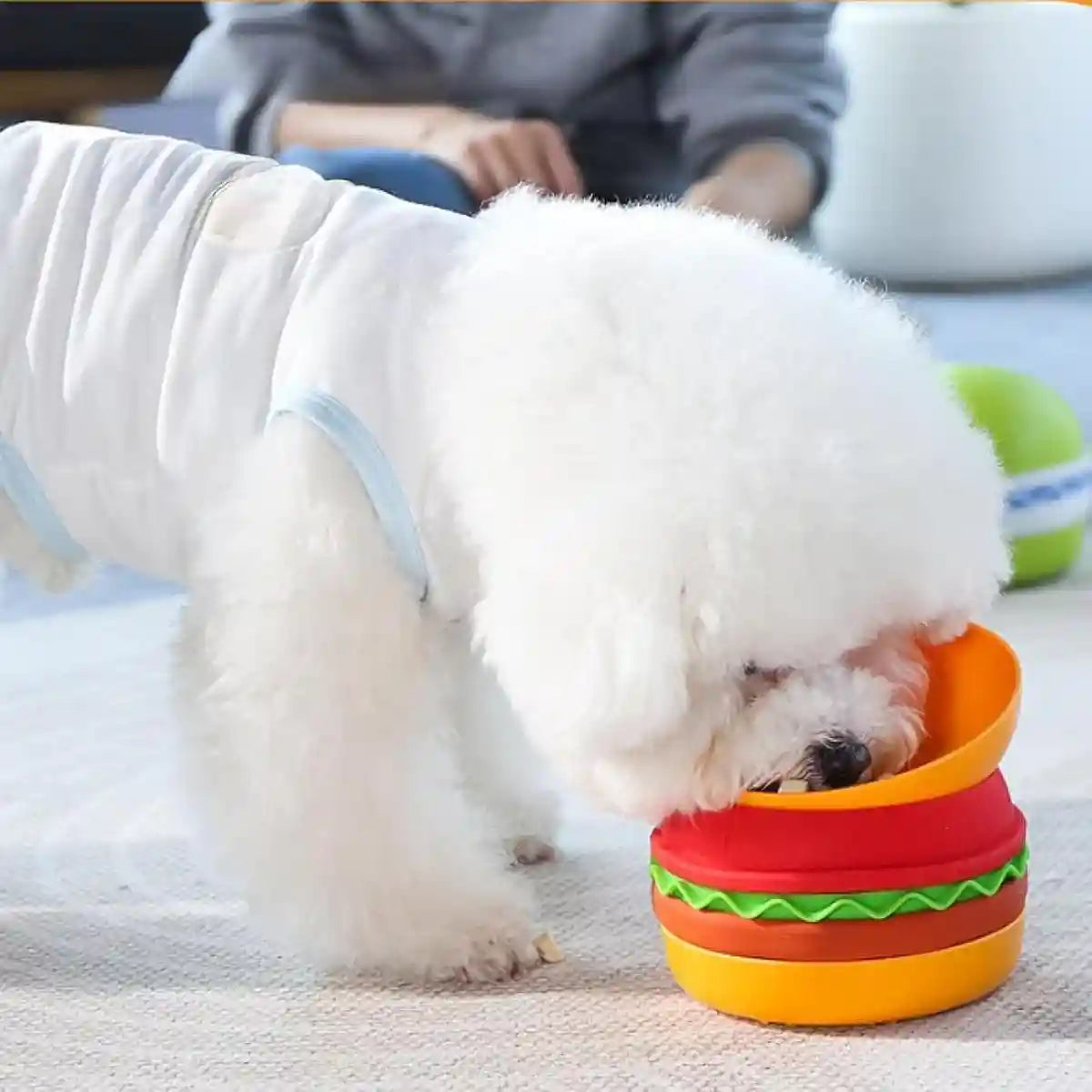 5-in-1 Pet Feeding Bowl Multi-Function Food & Water Dish For Dogs & Cats