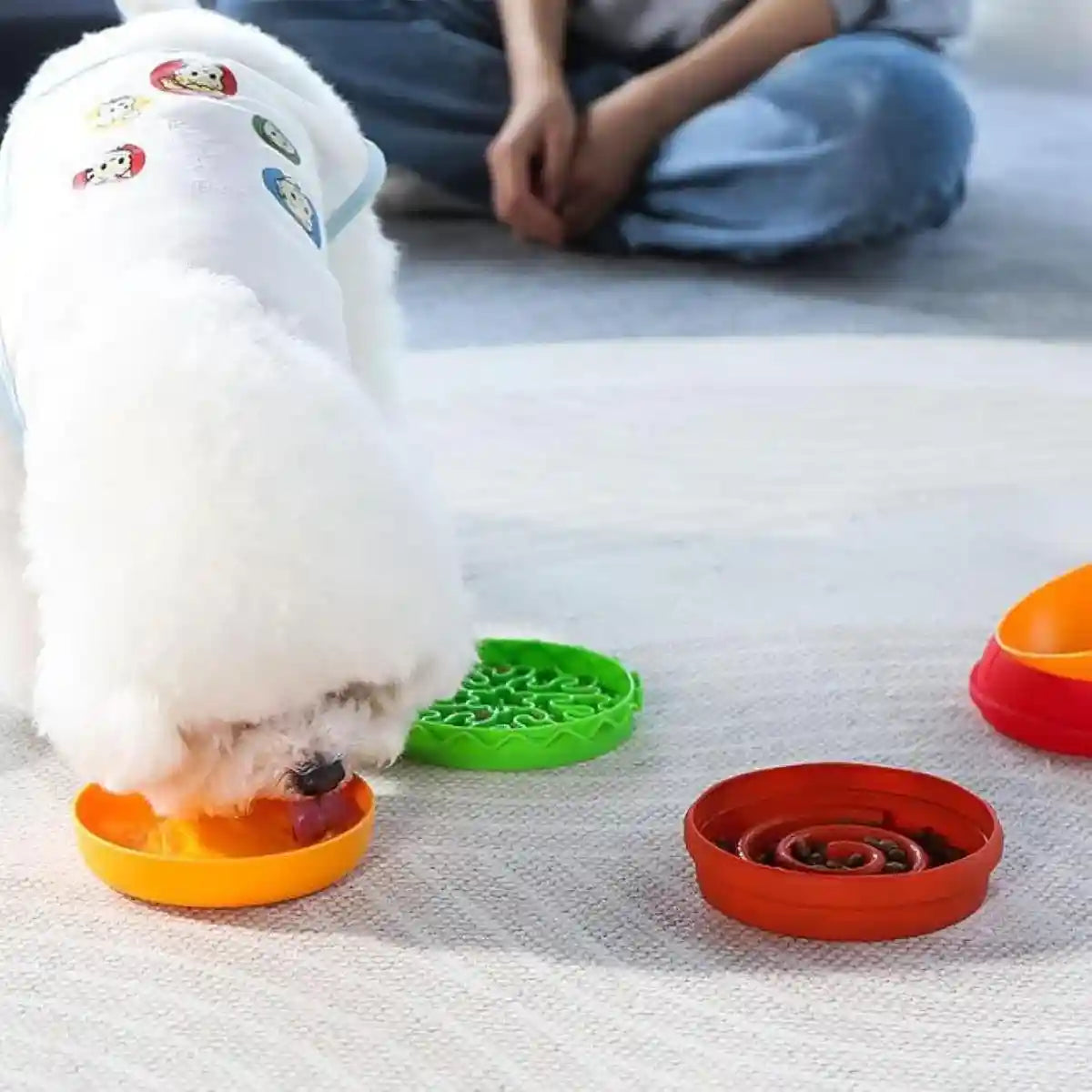 5-in-1 Pet Feeding Bowl Multi-Function Food & Water Dish For Dogs & Cats