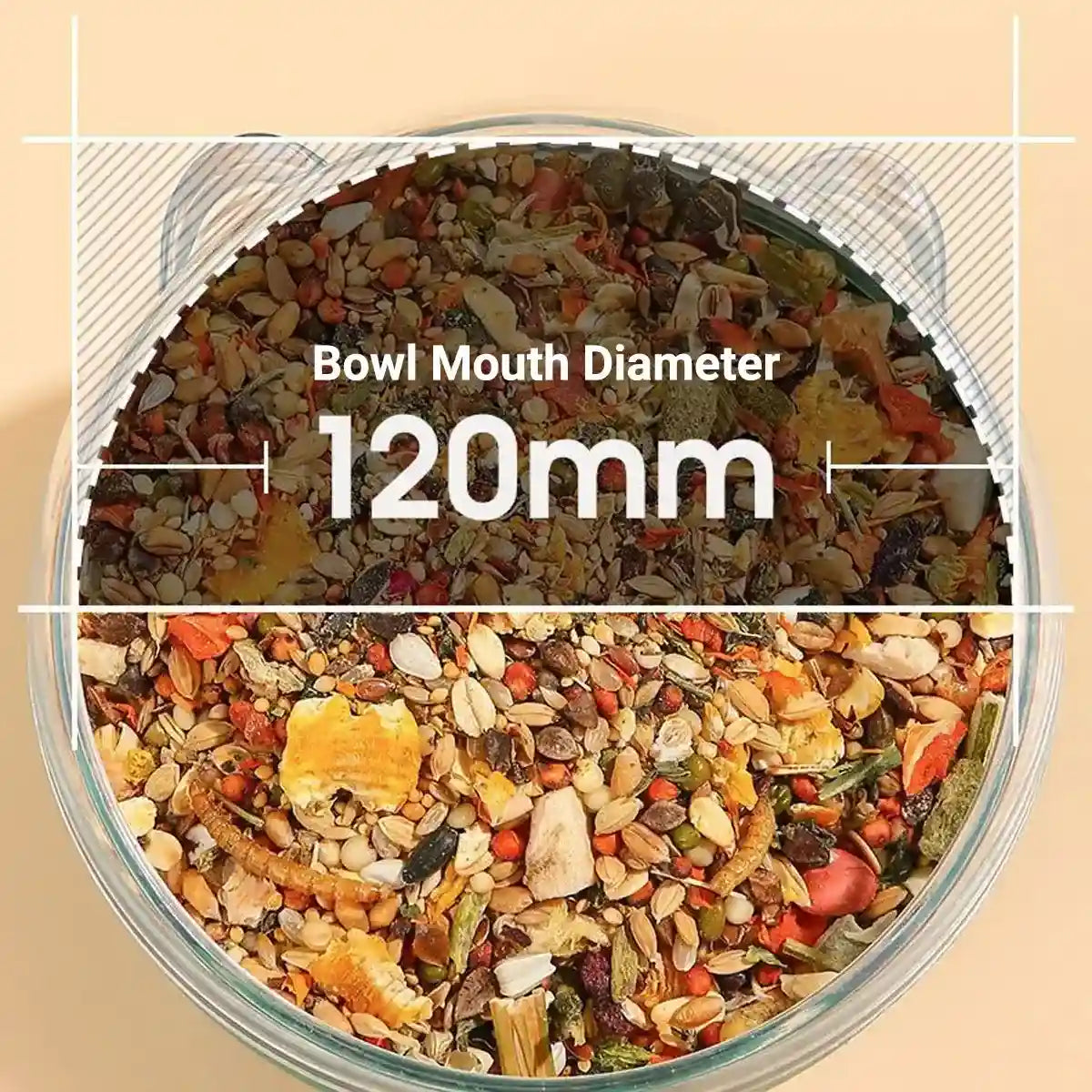 Transparent Hamster Bowl with Raised Feet Easy-to-Clean Pet Feeder