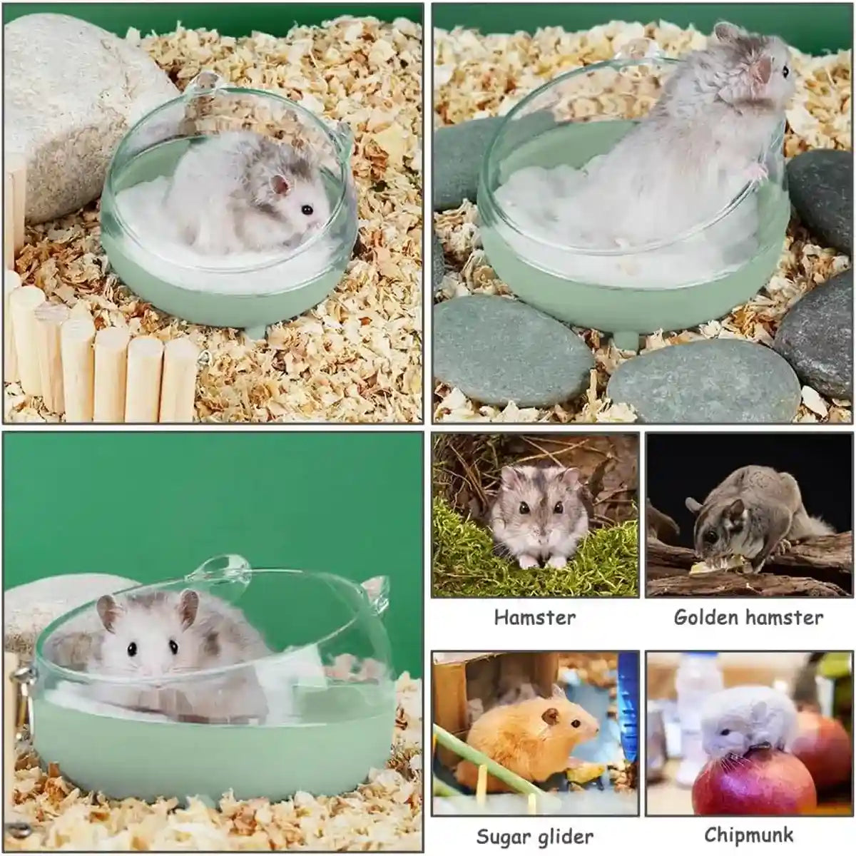 Transparent Hamster Bowl with Raised Feet Easy-to-Clean Pet Feeder