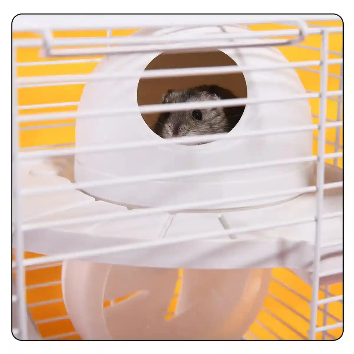 Hamster Cage Double Decker Villa with Water Dispenser