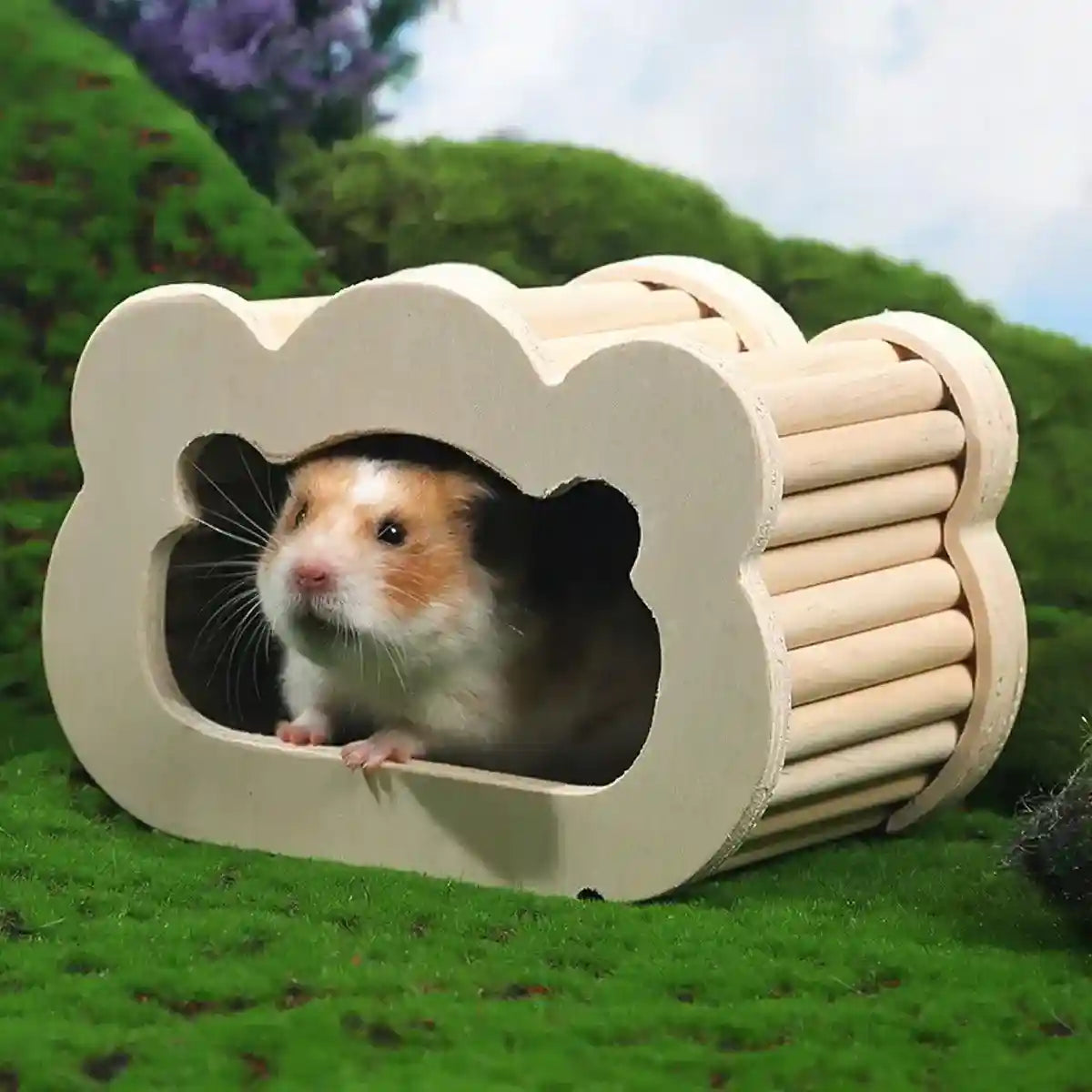 Magnetic Mouse House Wooden Hamster Hideout with Visible Design