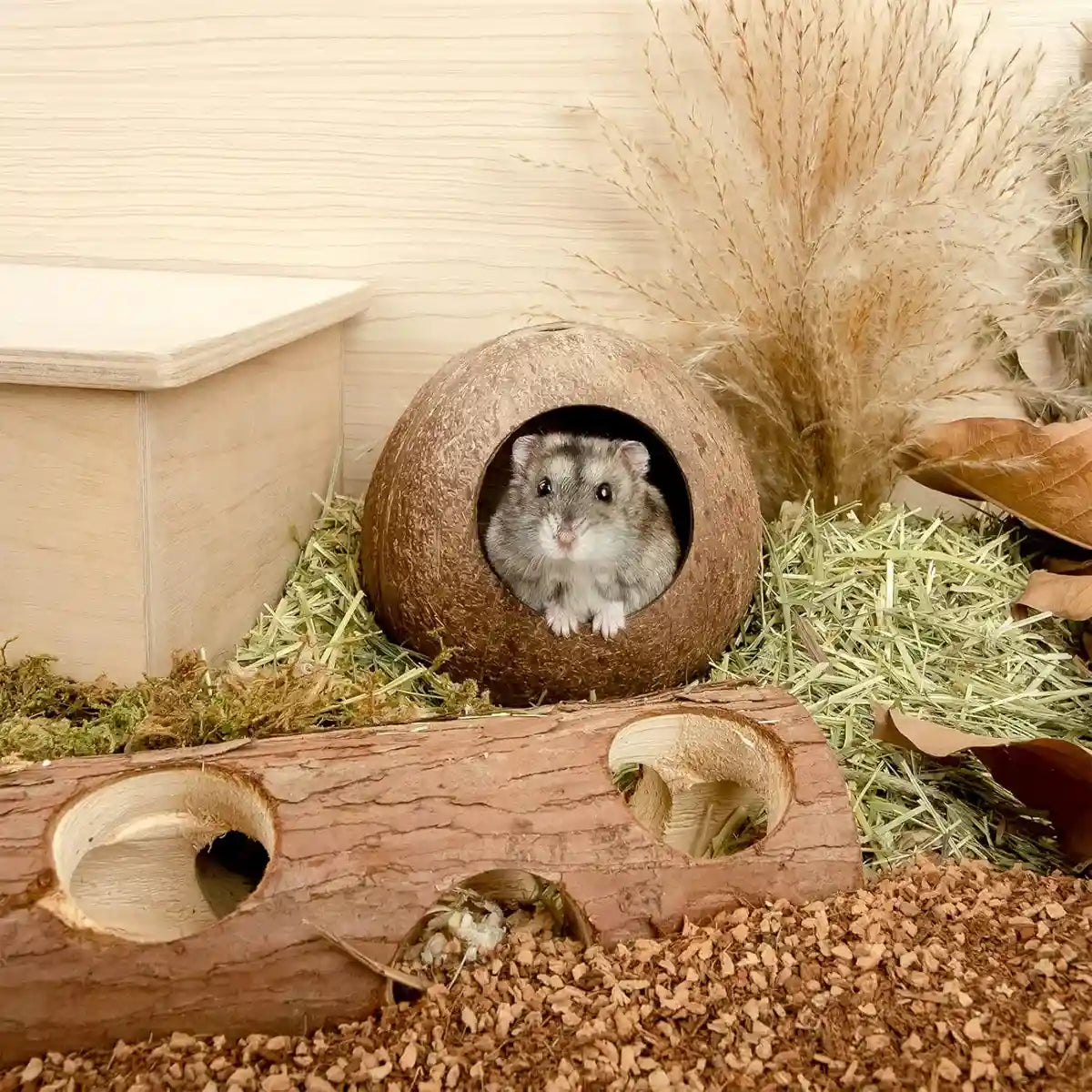 Coconut Hamster Cage Natural Hideout for Small Pets