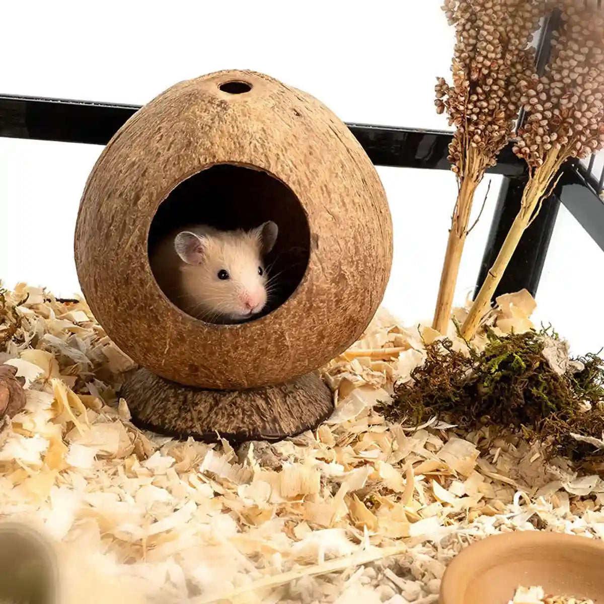 Coconut Hamster Cage Natural Hideout for Small Pets