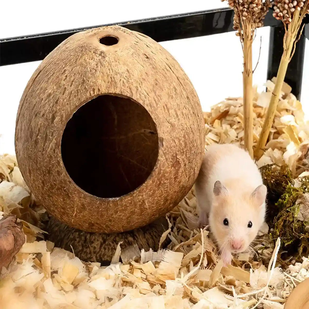 Coconut Hamster Cage Natural Hideout for Small Pets