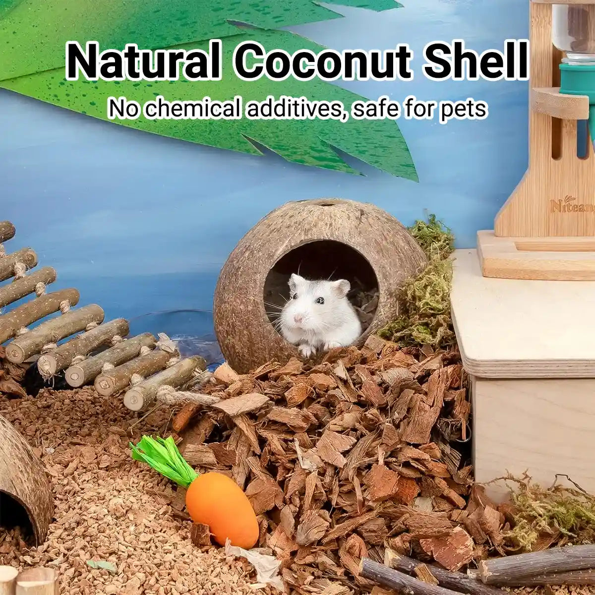 Coconut Hamster Cage Natural Hideout for Small Pets