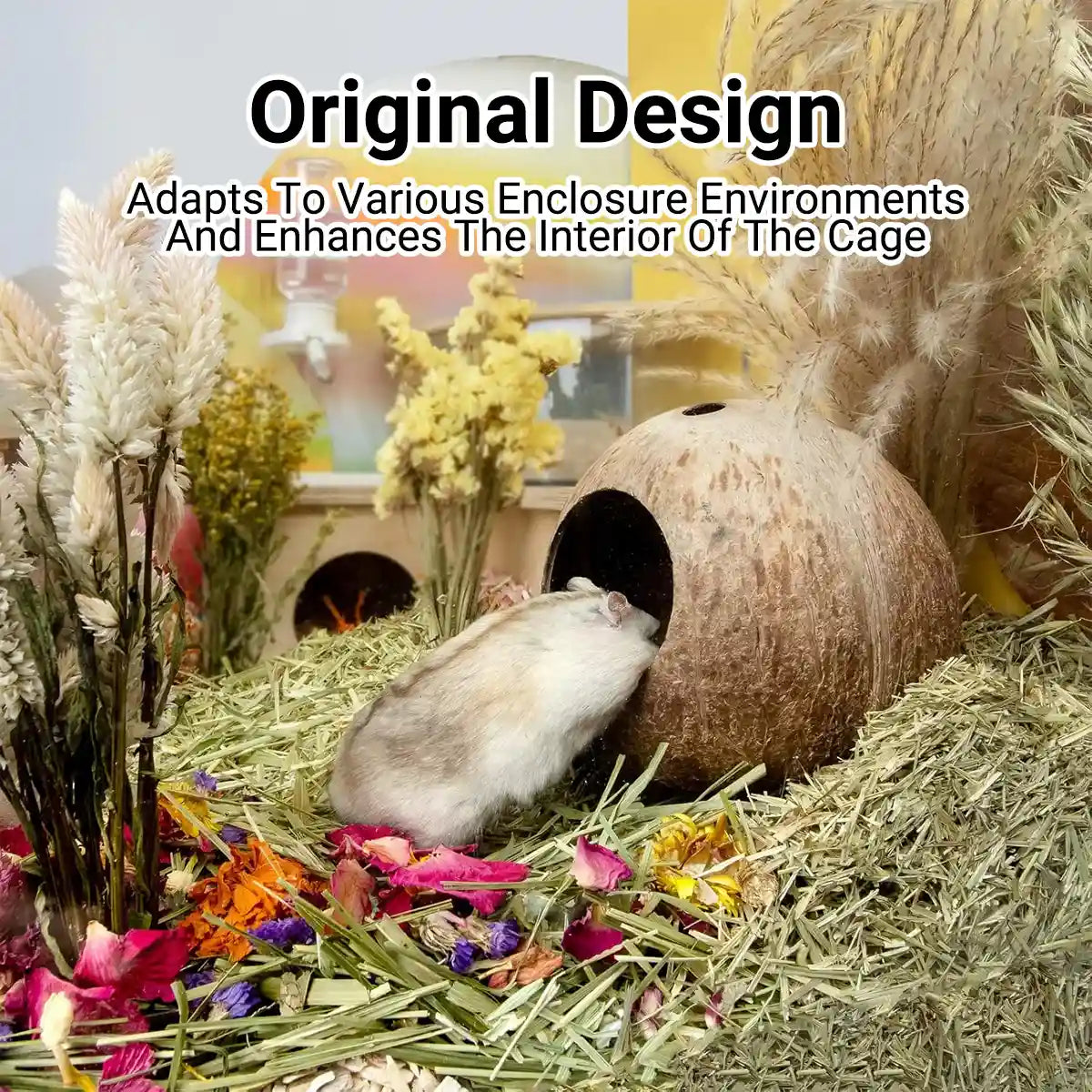 Coconut Hamster Cage Natural Hideout for Small Pets