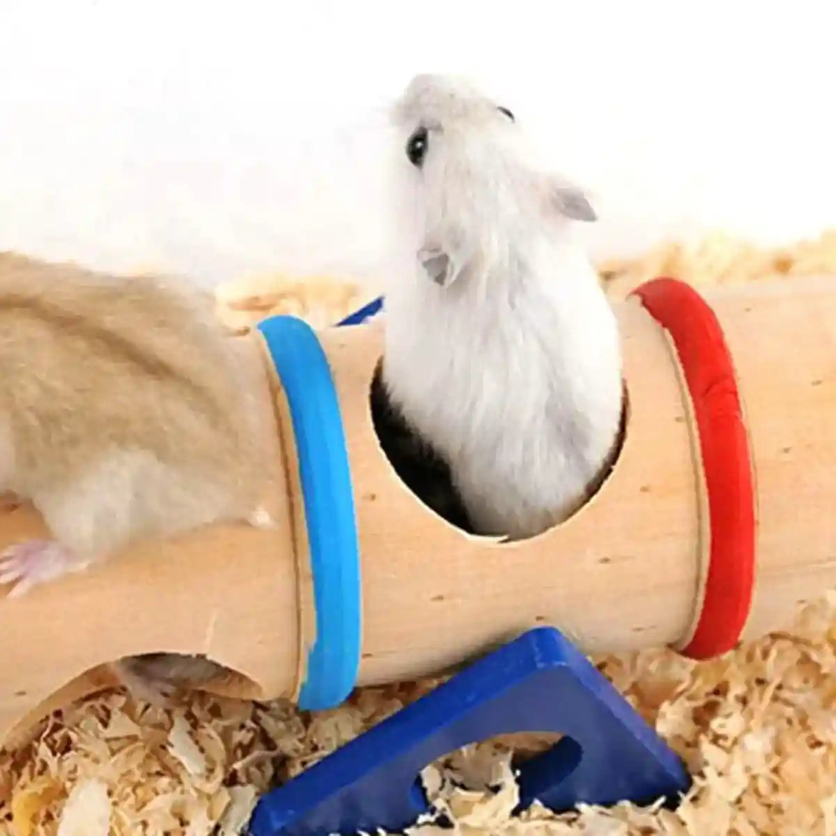 Colorful Wooden Seesaw Hamster Toy Interactive Tunnel for Small Pets