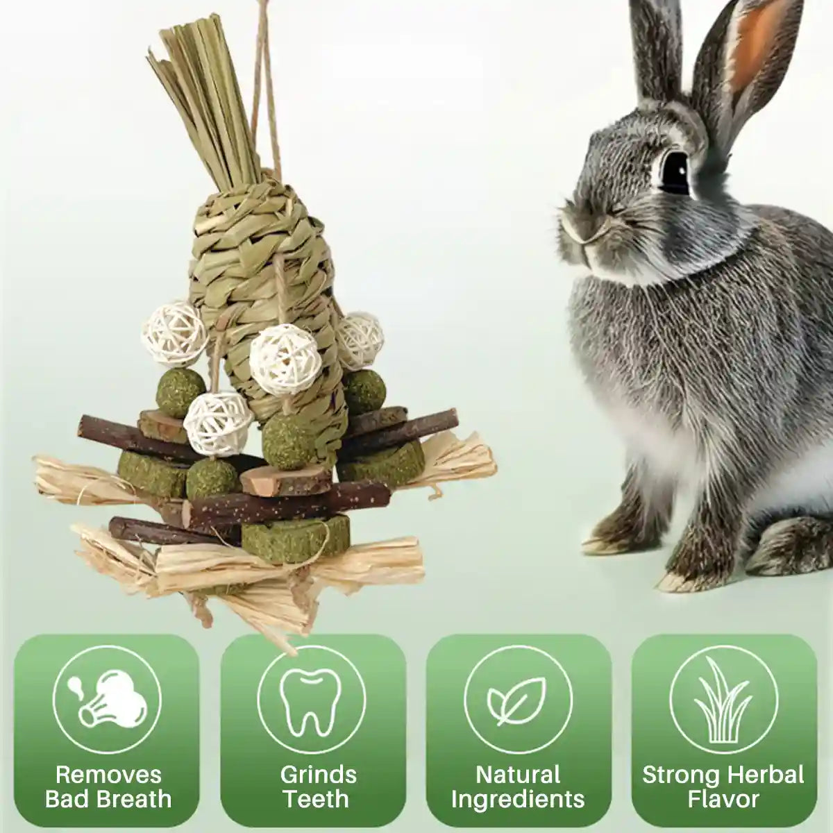 Small Pet Chew Toy Apple Branch & Carrot Cake Molar Treat for Rabbits & Hamsters