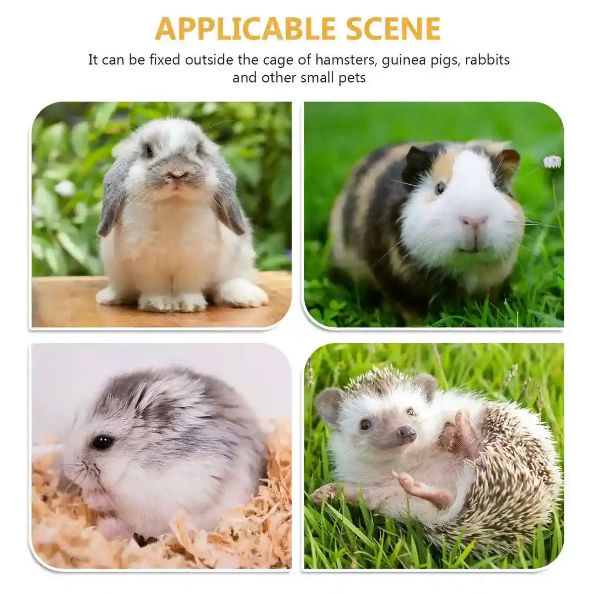 Wooden Hamster Tubes & Hideout Tunnel for Small Pets' Play & Exploration