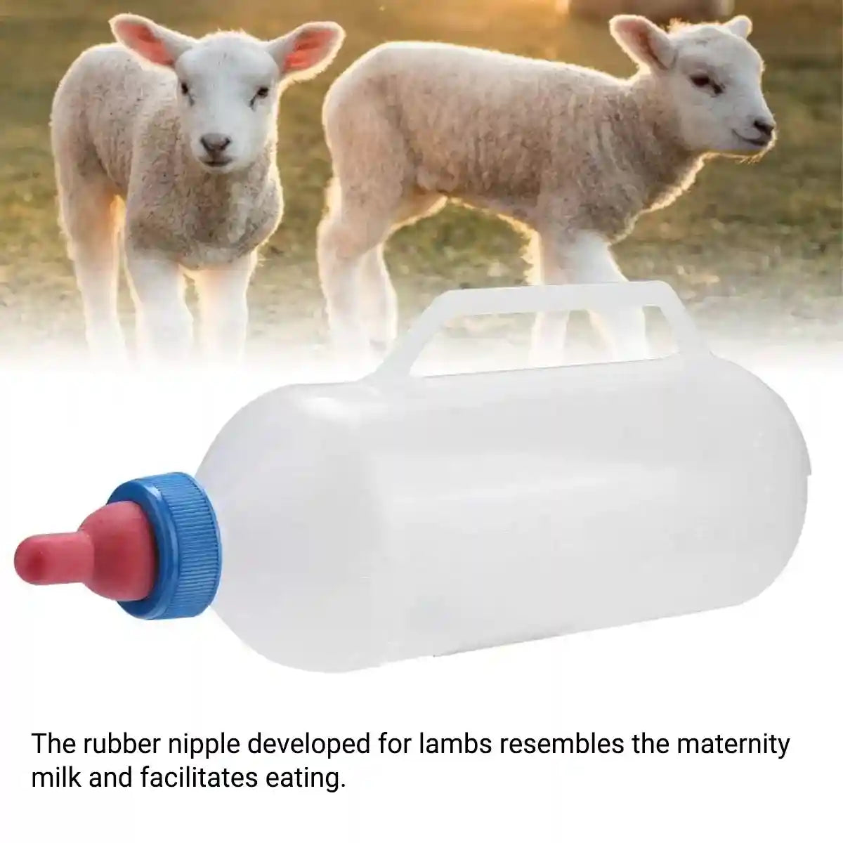 Durable Lamb Feeding Bottles Milk Bottle with Nipple & Handle 1000ml