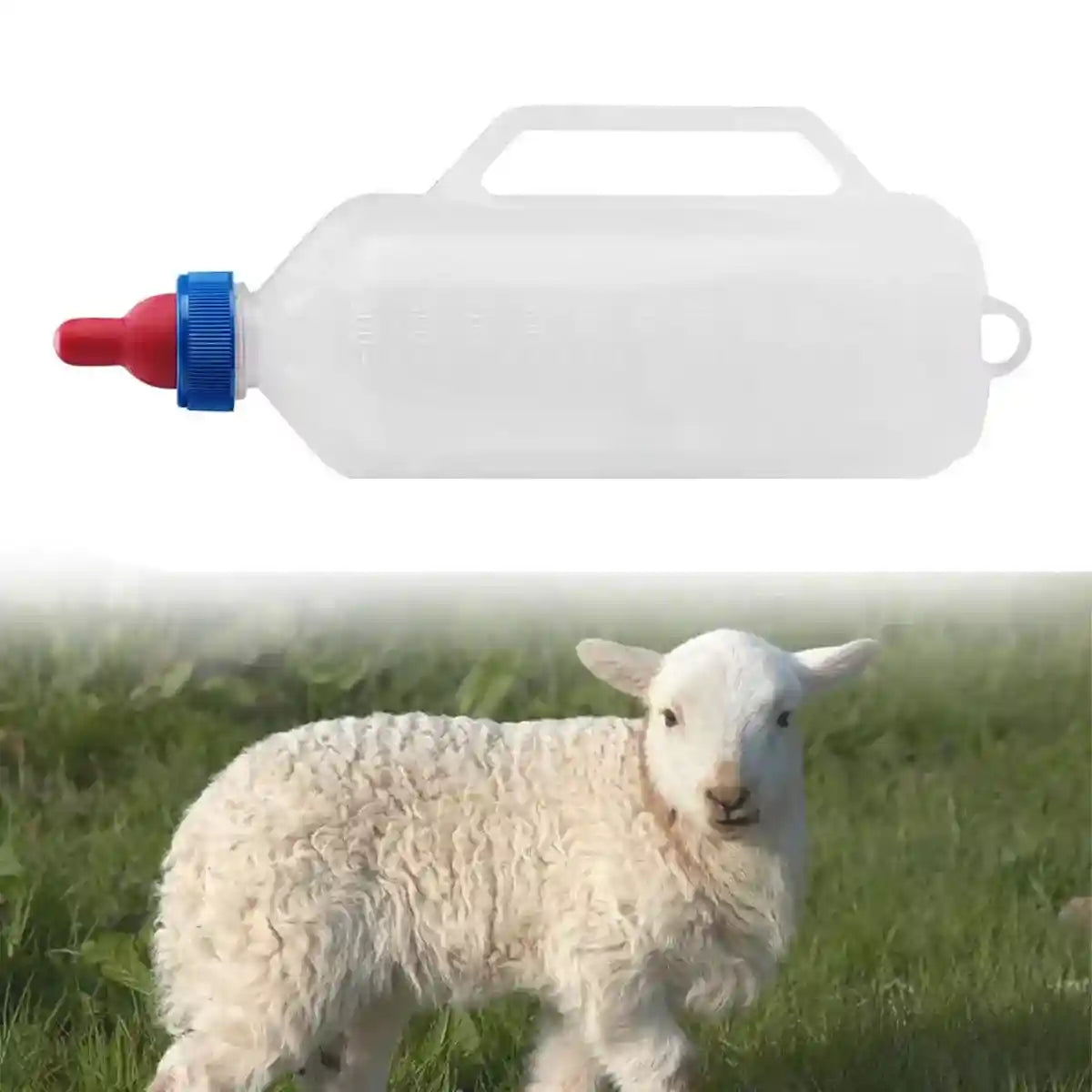 Durable Lamb Feeding Bottles Milk Bottle with Nipple & Handle 1000ml